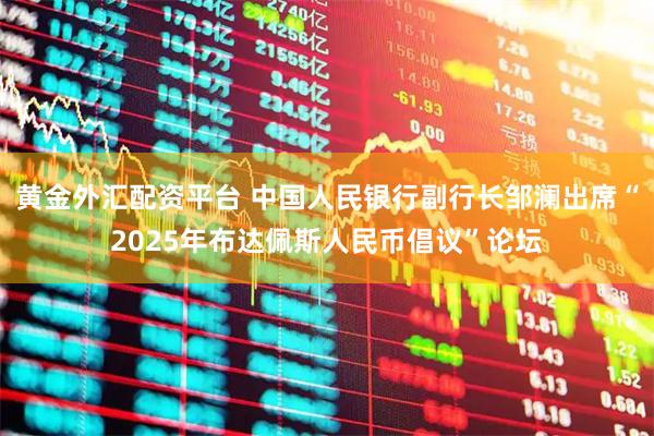 黄金外汇配资平台 中国人民银行副行长邹澜出席“2025年布达佩斯人民币倡议”论坛