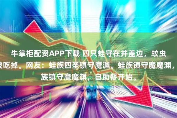 牛掌柜配资APP下载 四只蛙守在井盖边，蚊虫一飞出来就被吃掉。网友：蛙族四圣镇守魔渊。蛙族镇守魔魔渊，自助餐开始。