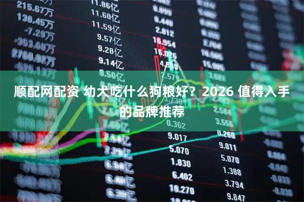 顺配网配资 幼犬吃什么狗粮好？2026 值得入手的品牌推荐