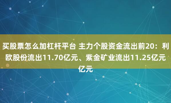 买股票怎么加杠杆平台 主力个股资金流出前20：利欧股份流出11.70亿元、紫金矿业流出11.25亿元